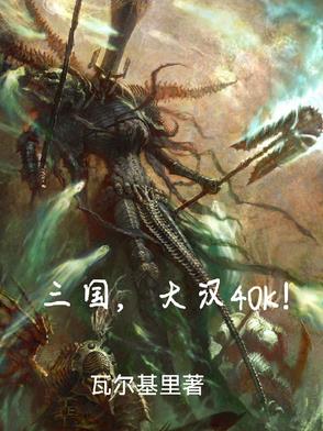 三国！大汉40K
